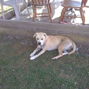 Meet your Posher, Jasmine